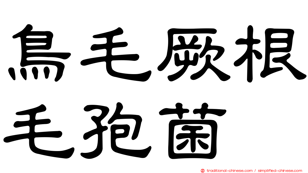 鳥毛厥根毛孢菌
