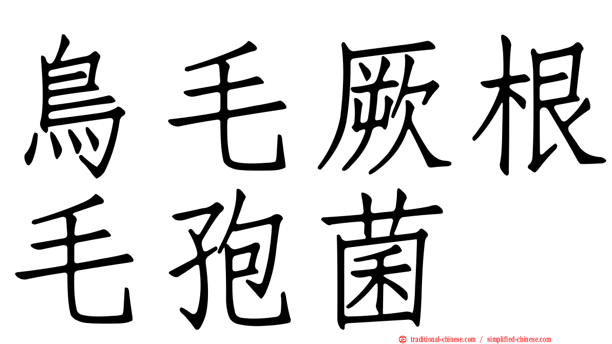 鳥毛厥根毛孢菌