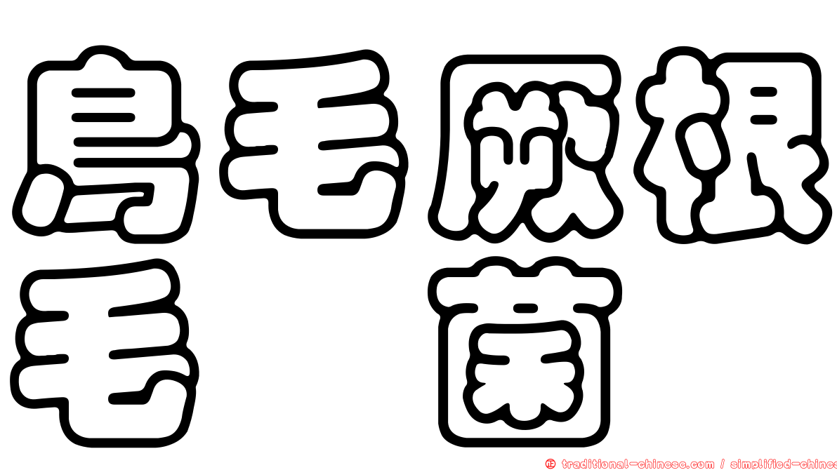 鳥毛厥根毛孢菌