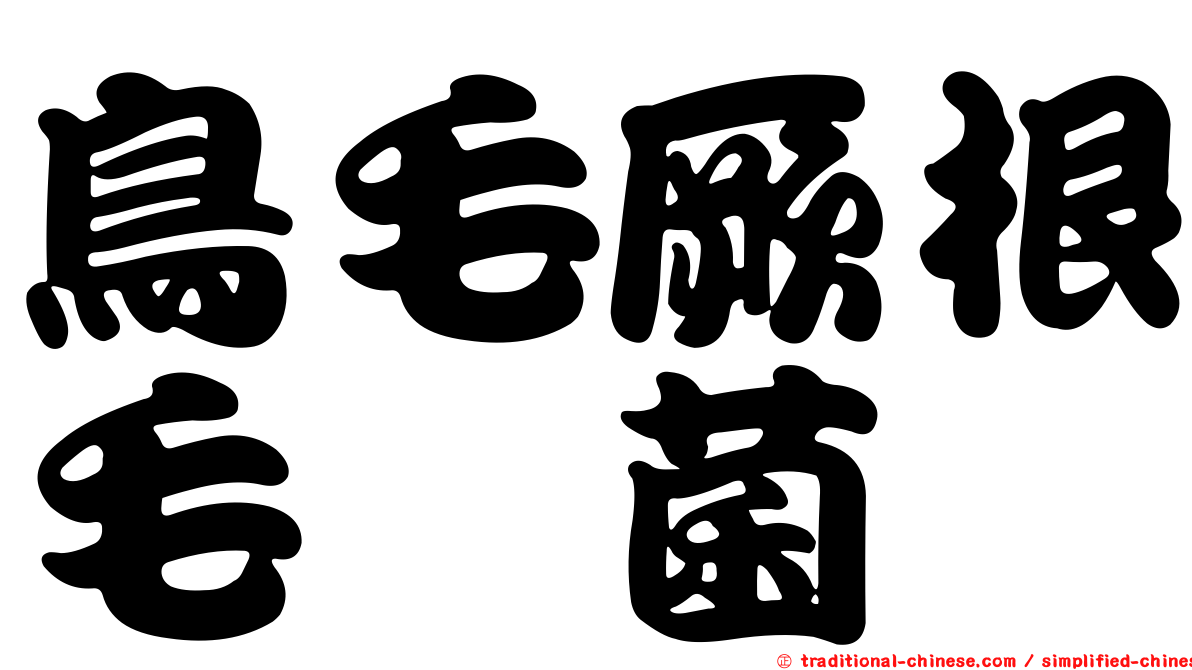 鳥毛厥根毛孢菌