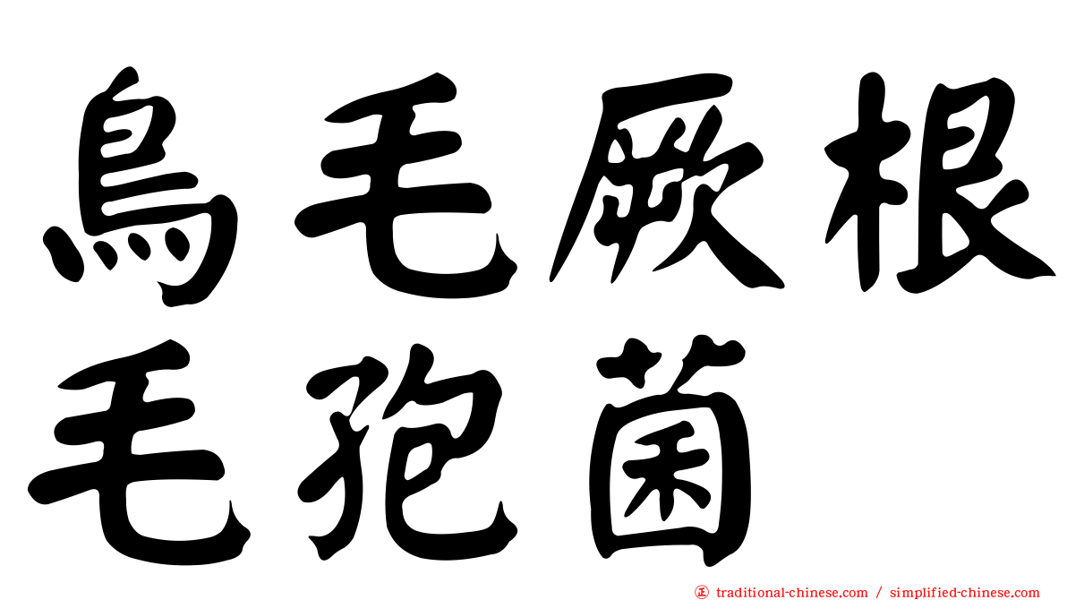 鳥毛厥根毛孢菌
