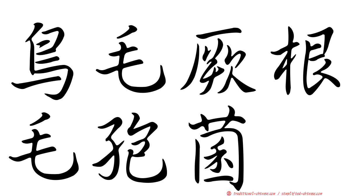 鳥毛厥根毛孢菌