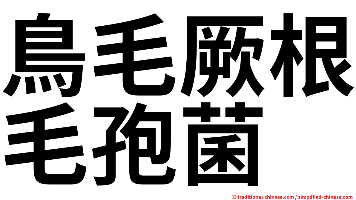 鳥毛厥根毛孢菌
