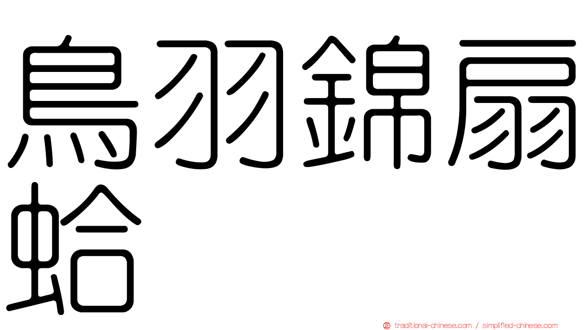 鳥羽錦扇蛤