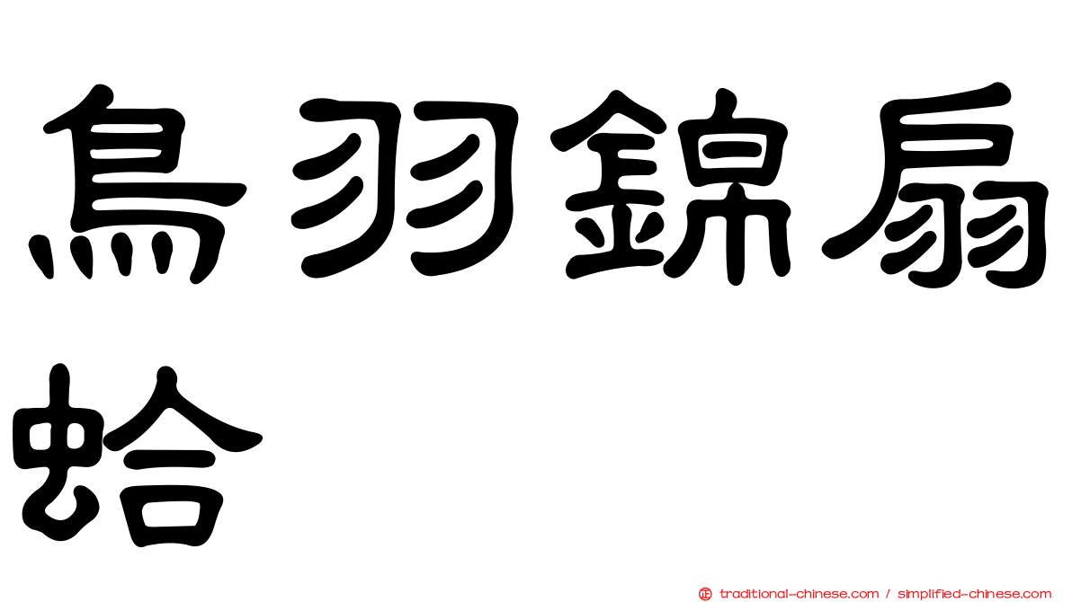 鳥羽錦扇蛤