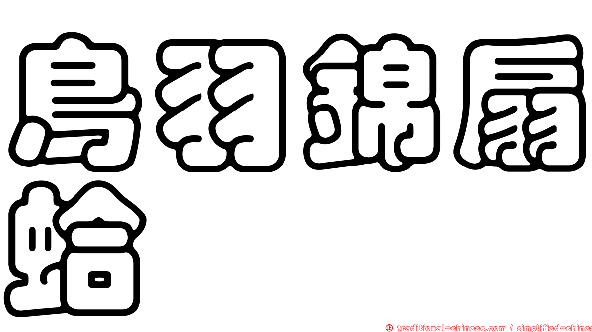 鳥羽錦扇蛤