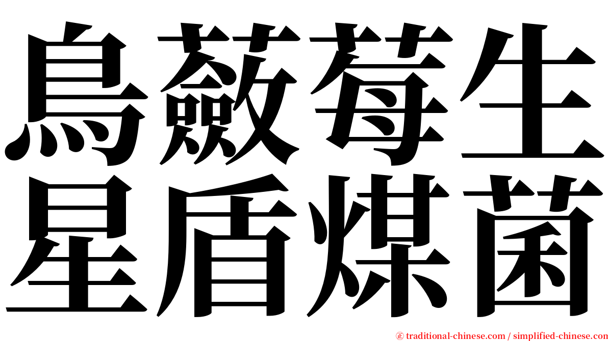鳥蘞莓生星盾煤菌 serif font