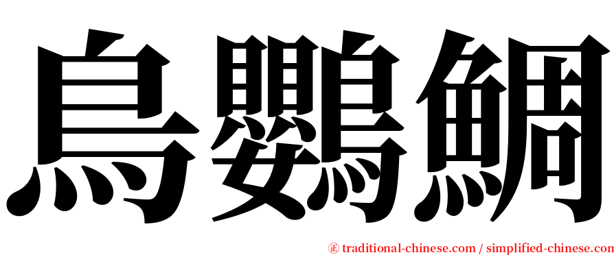 鳥鸚鯛 serif font