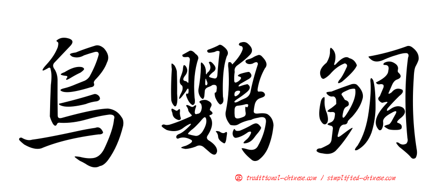 鳥鸚鯛