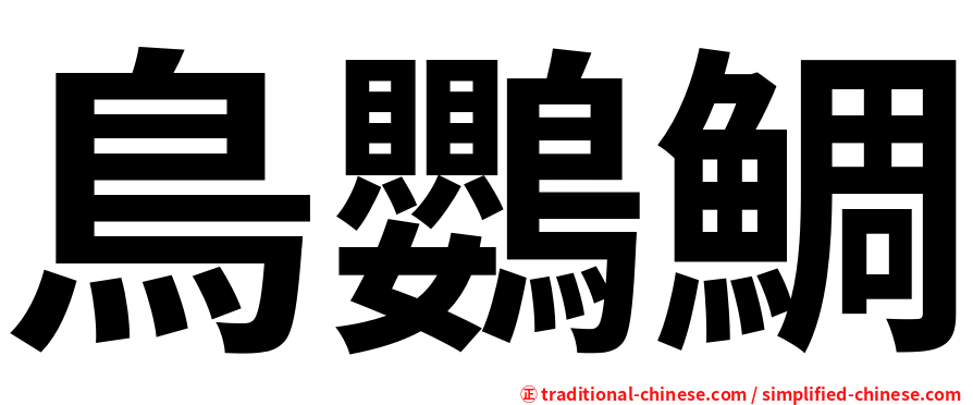 鳥鸚鯛