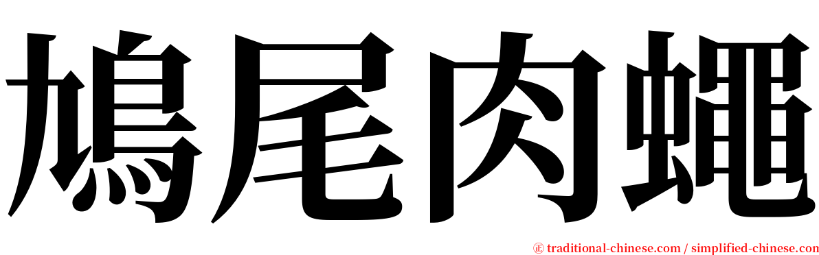 鳩尾肉蠅 serif font