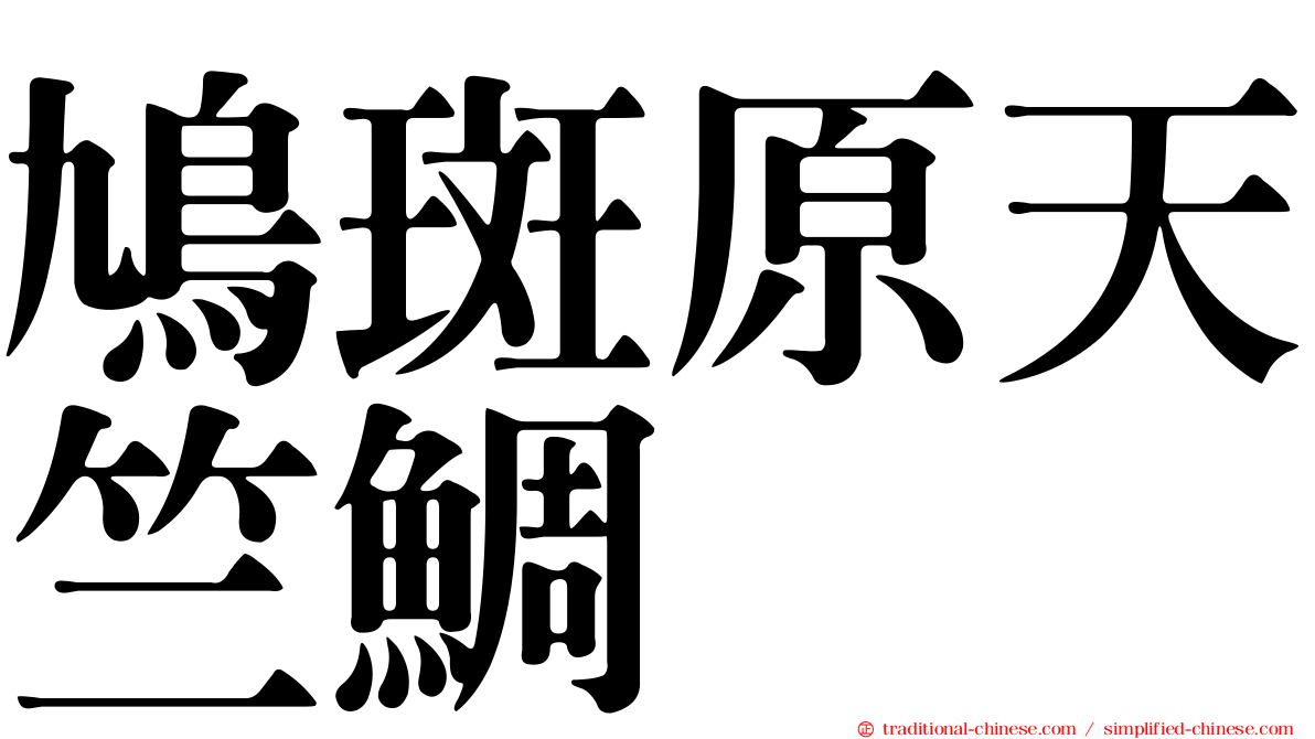 鳩斑原天竺鯛