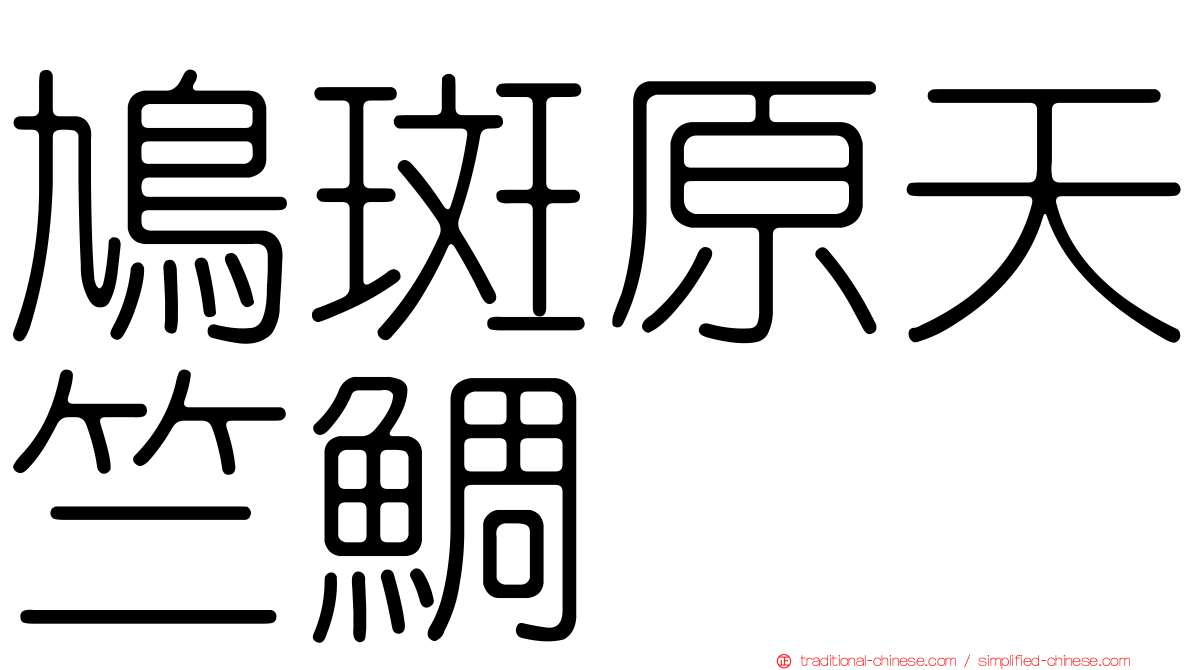 鳩斑原天竺鯛