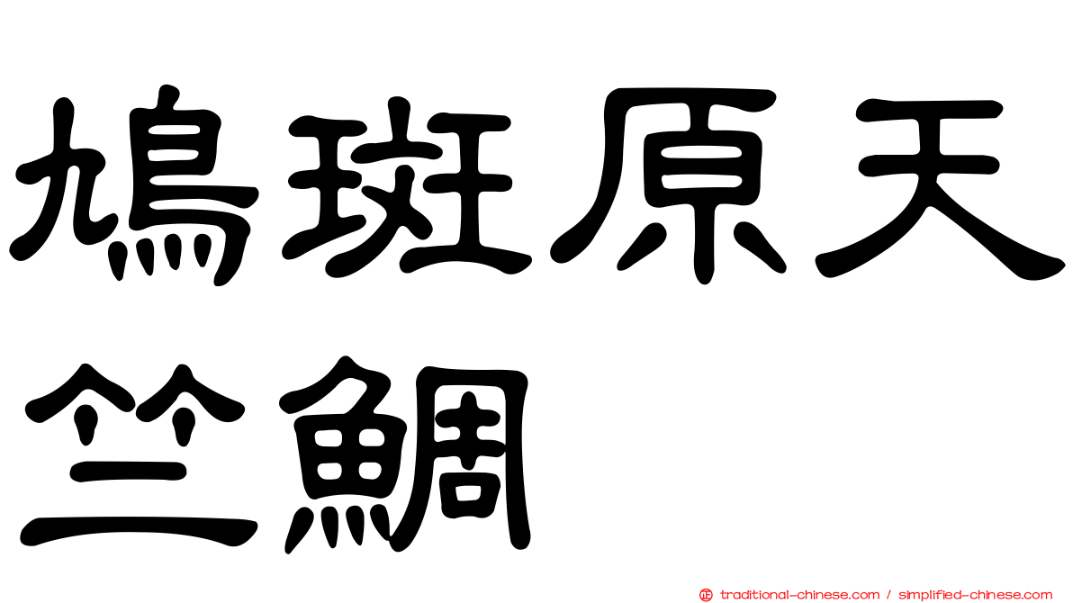 鳩斑原天竺鯛