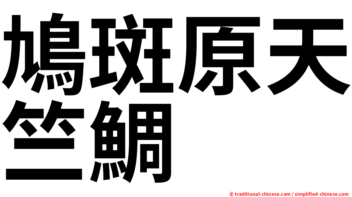 鳩斑原天竺鯛