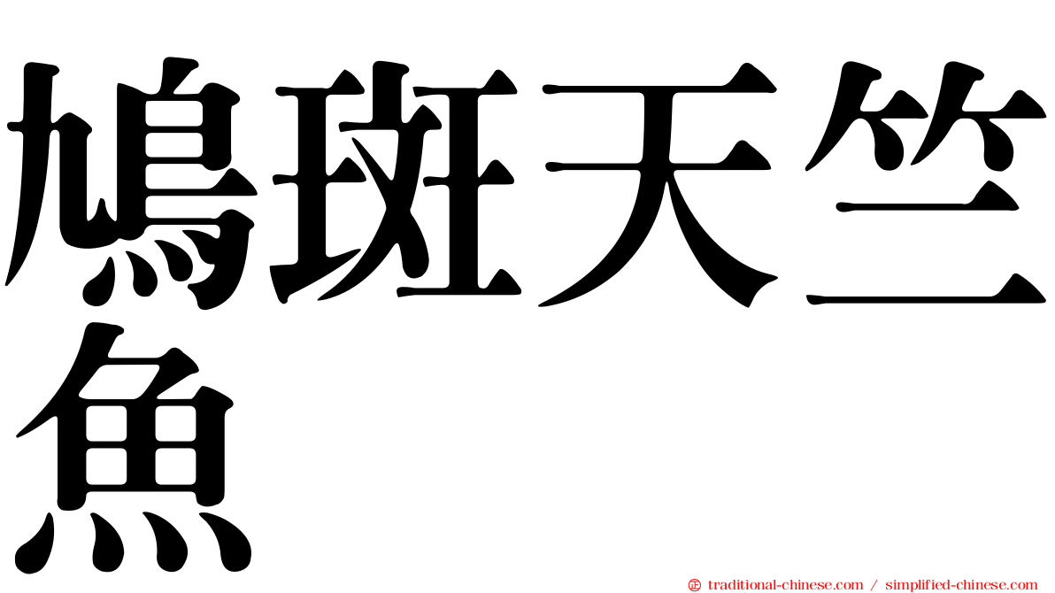 鳩斑天竺魚
