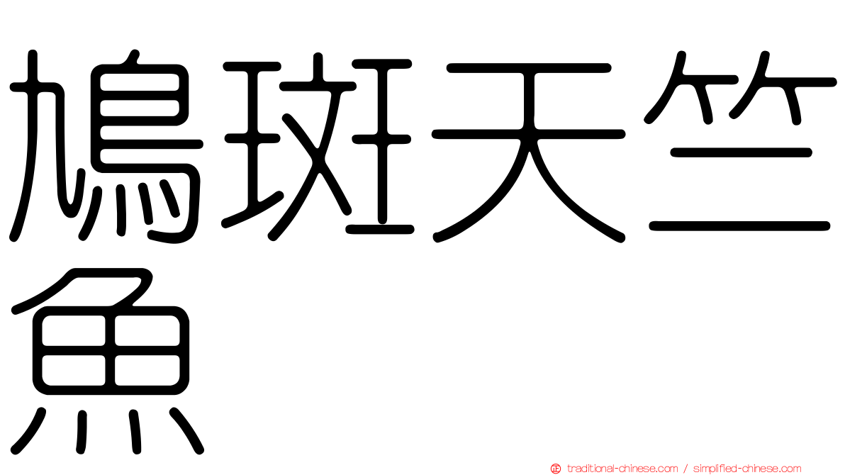 鳩斑天竺魚