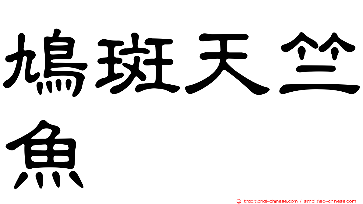 鳩斑天竺魚