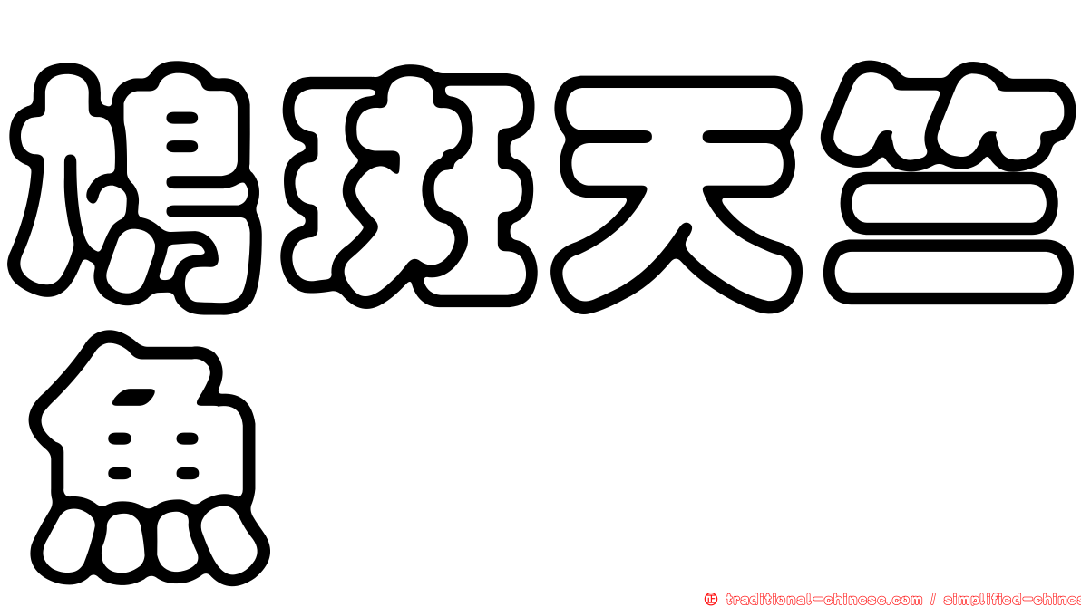鳩斑天竺魚
