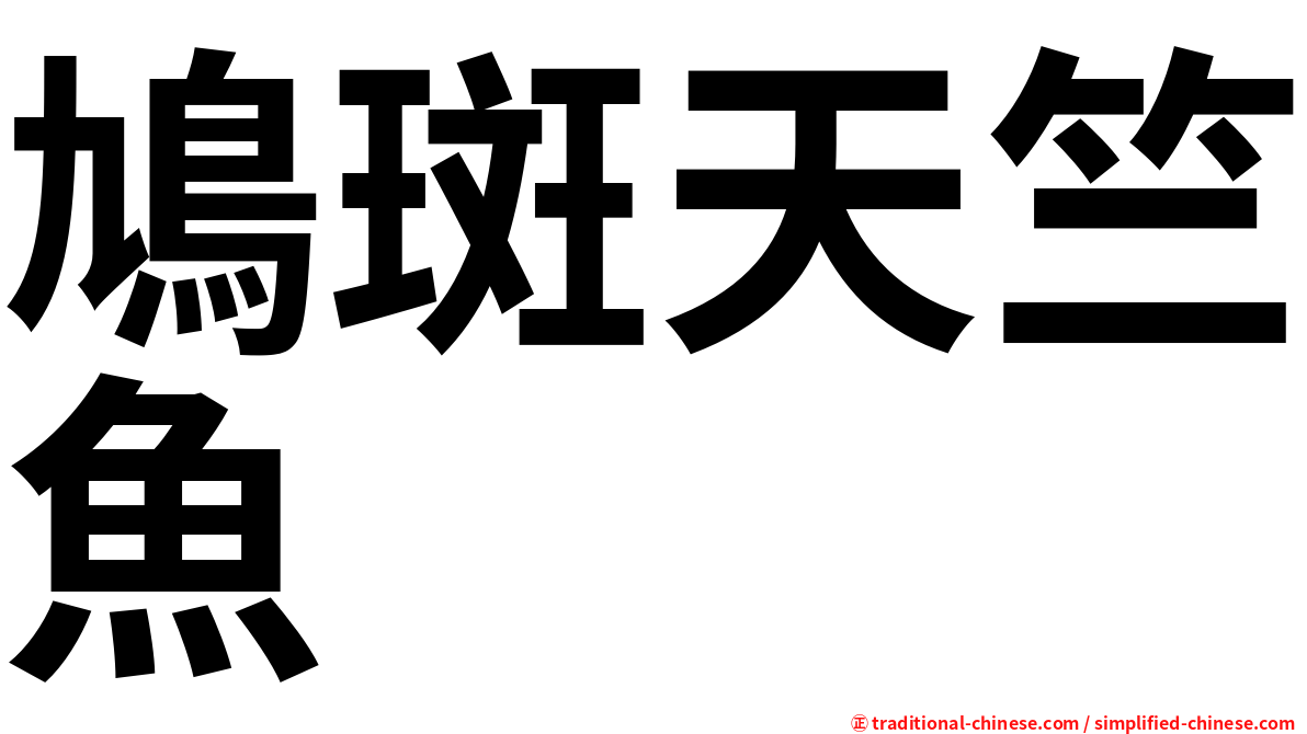 鳩斑天竺魚