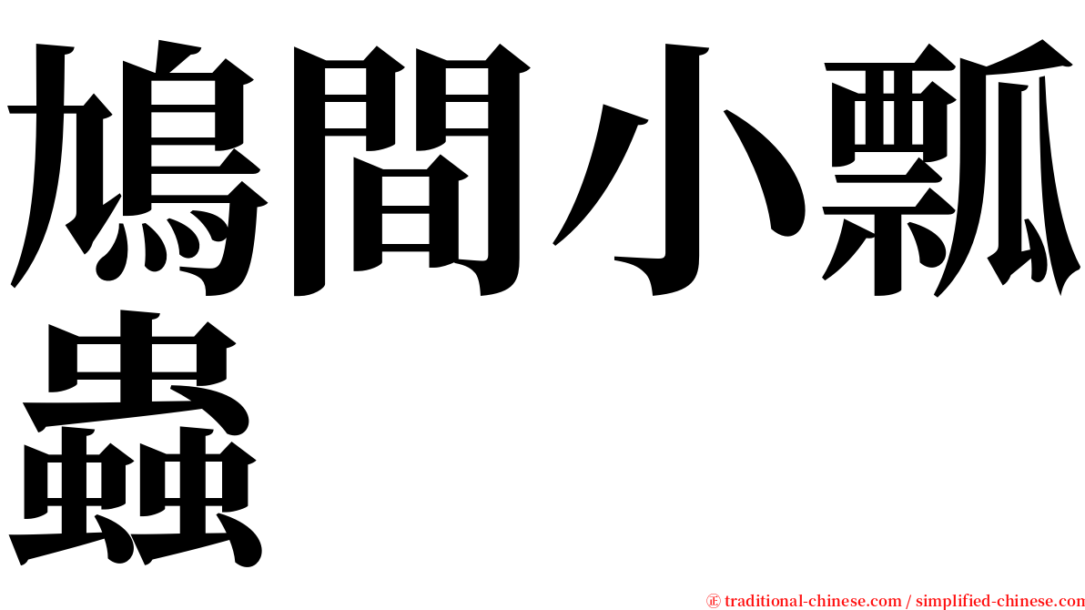 鳩間小瓢蟲 serif font