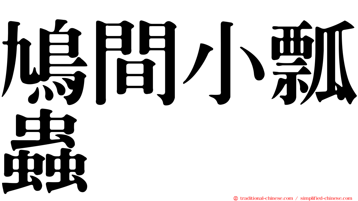 鳩間小瓢蟲