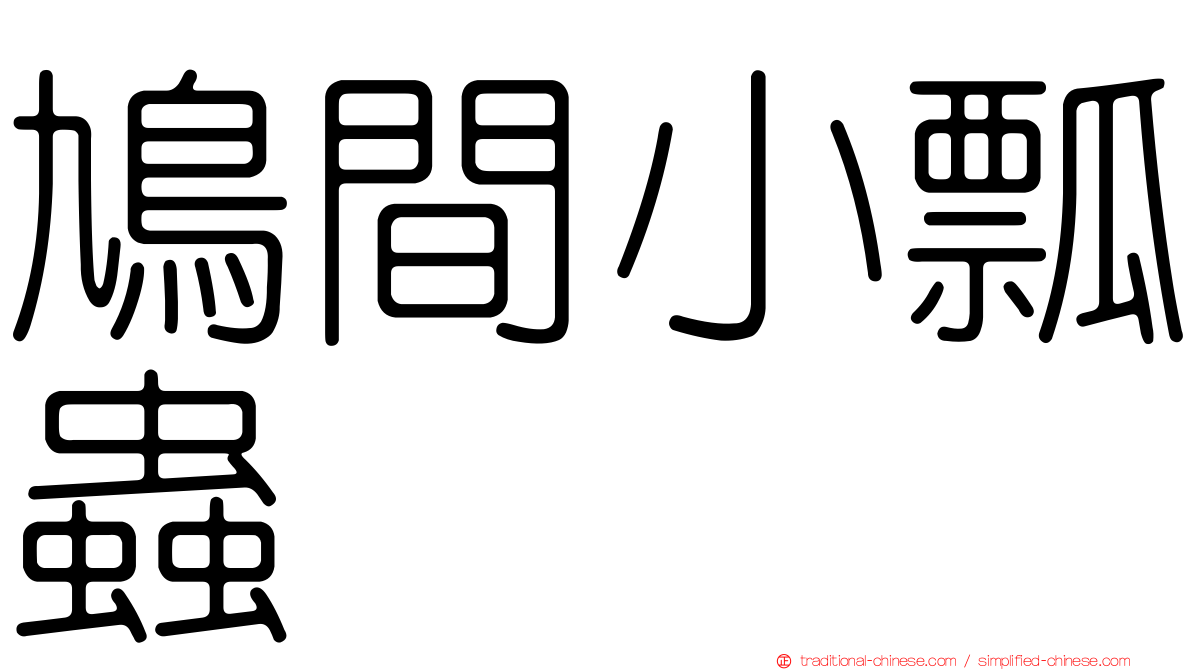 鳩間小瓢蟲