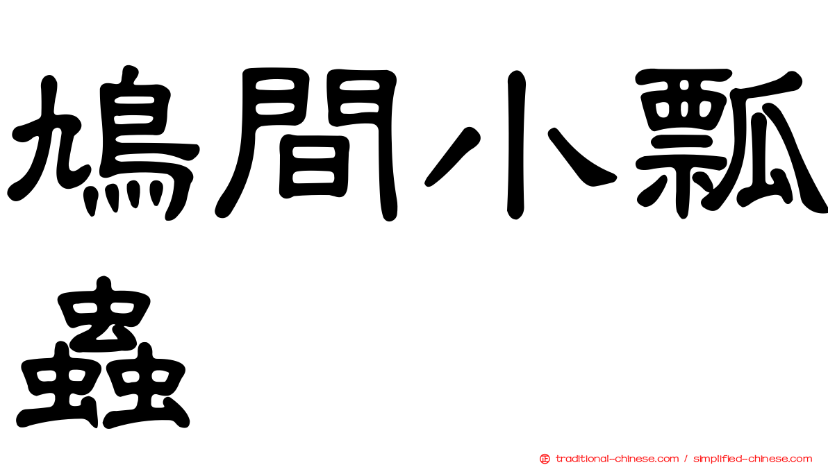 鳩間小瓢蟲