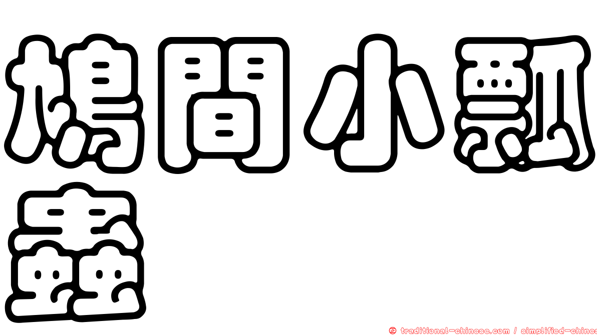 鳩間小瓢蟲