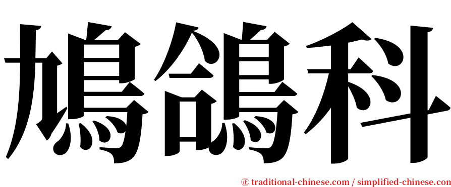 鳩鴿科 serif font