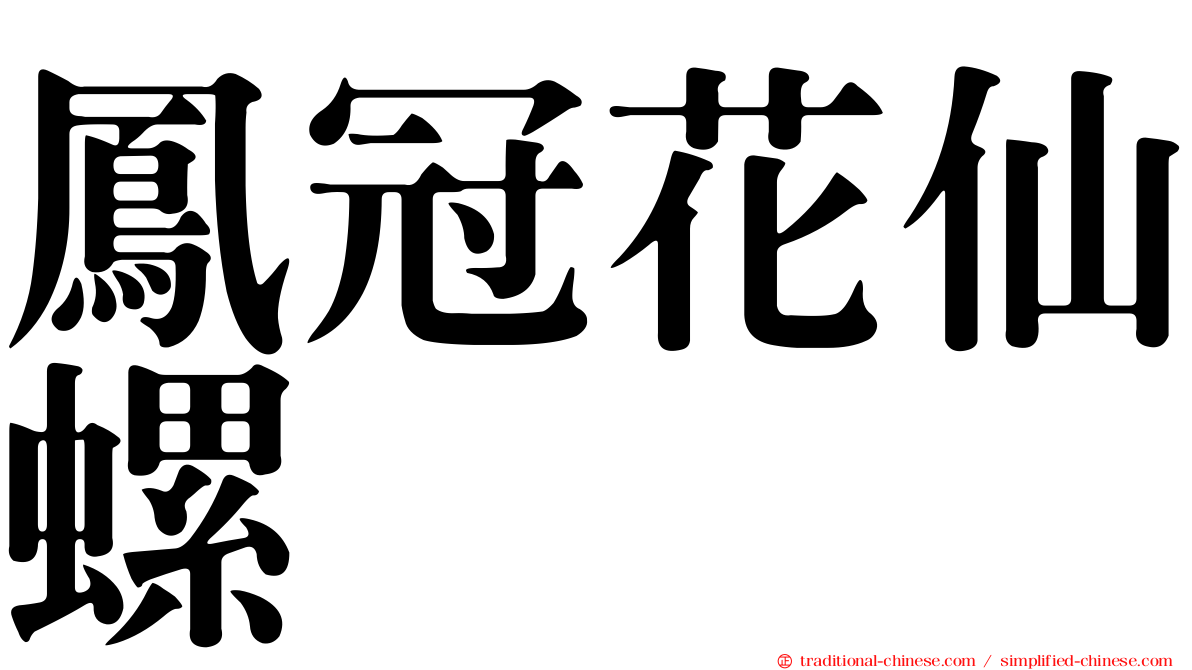 鳳冠花仙螺