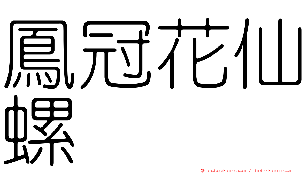鳳冠花仙螺