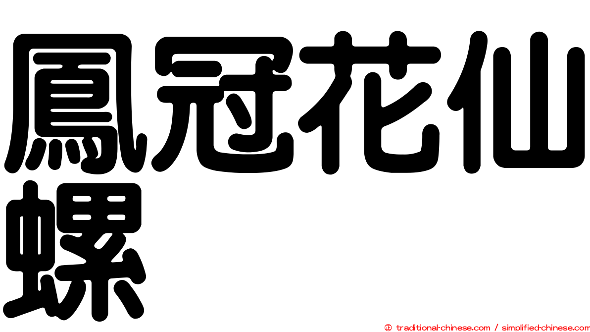 鳳冠花仙螺