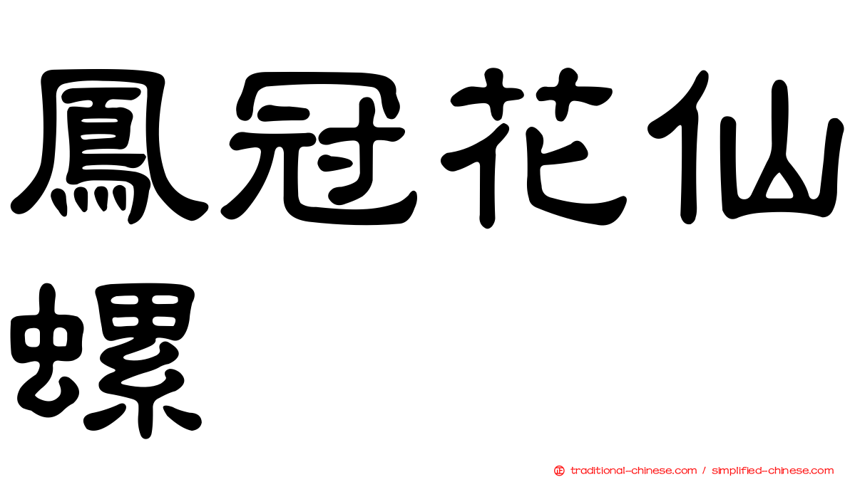 鳳冠花仙螺