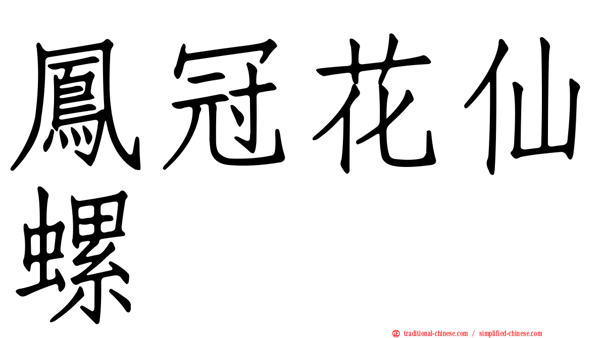 鳳冠花仙螺