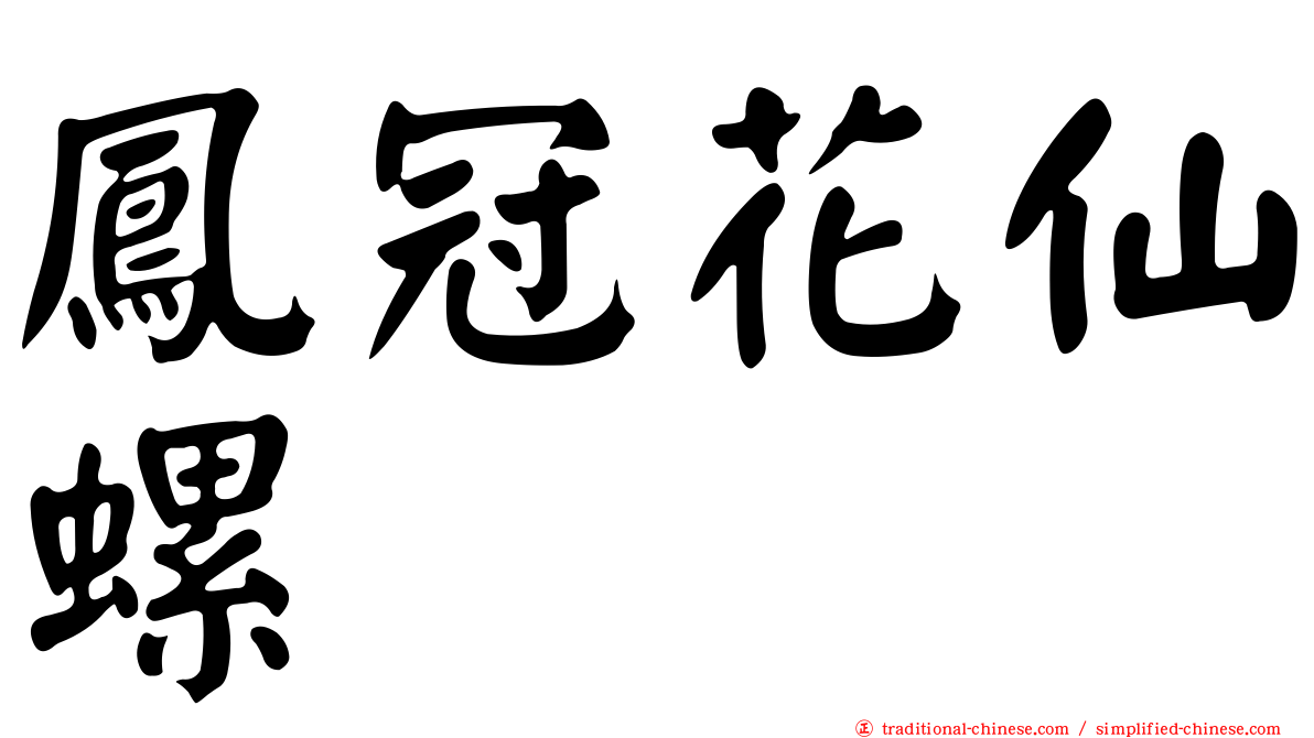 鳳冠花仙螺