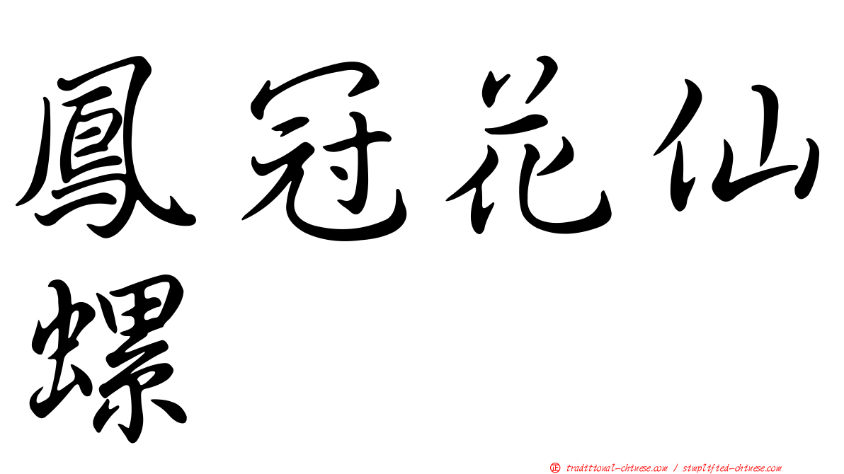 鳳冠花仙螺