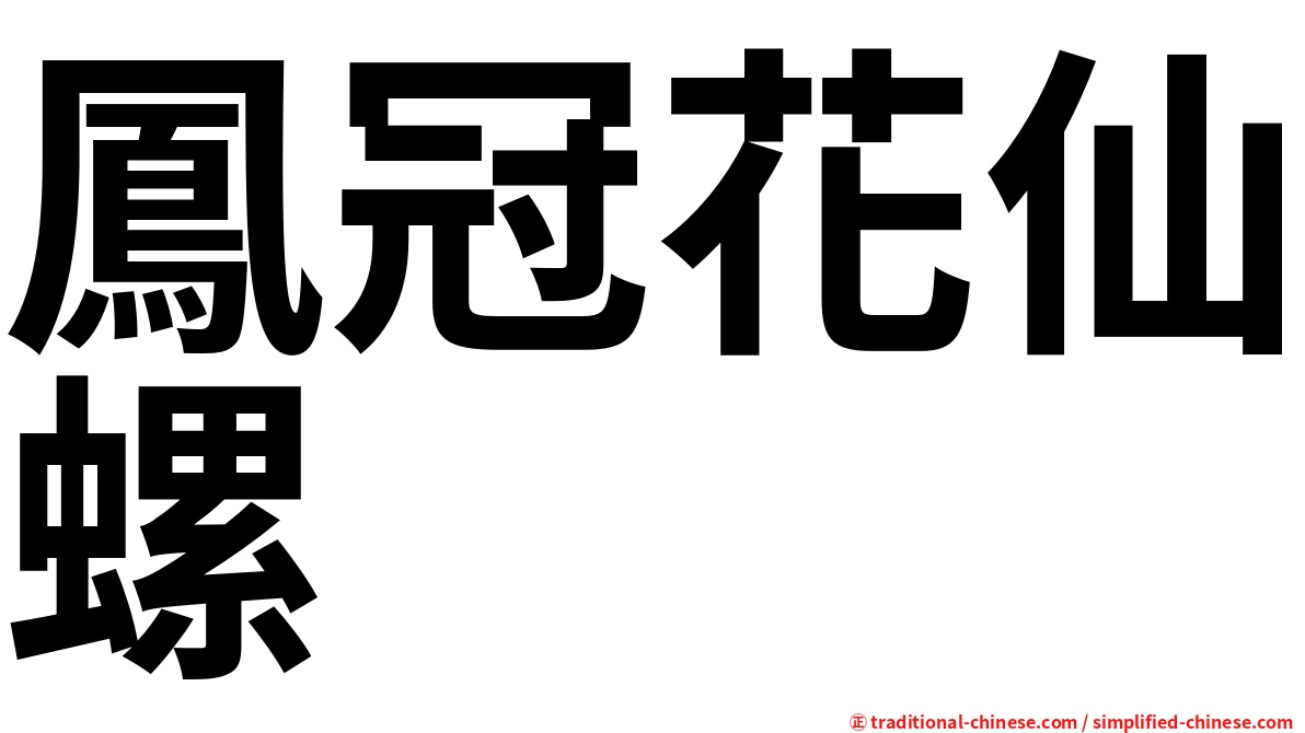 鳳冠花仙螺