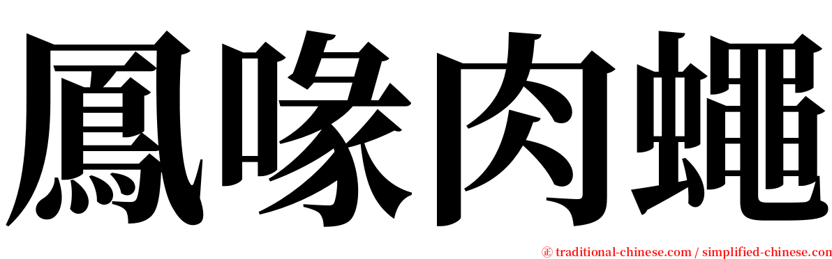 鳳喙肉蠅 serif font