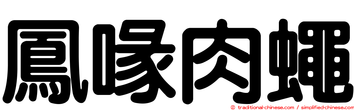 鳳喙肉蠅