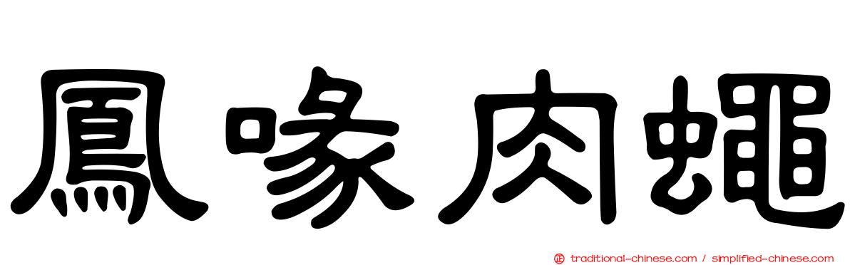 鳳喙肉蠅