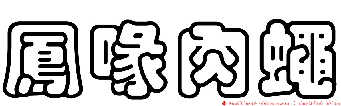 鳳喙肉蠅