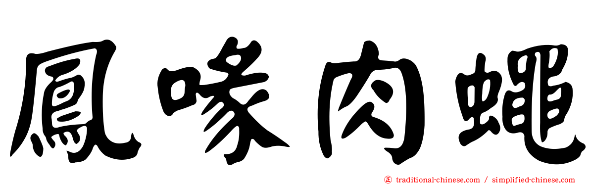 鳳喙肉蠅