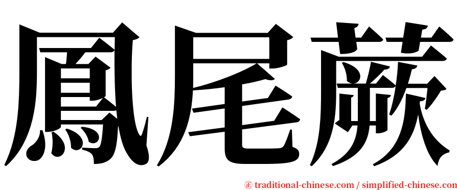 鳳尾蕨 serif font
