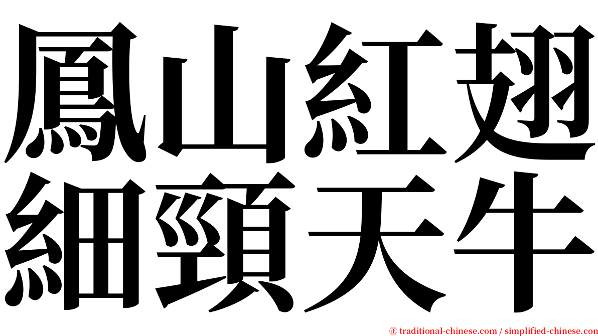 鳳山紅翅細頸天牛 serif font