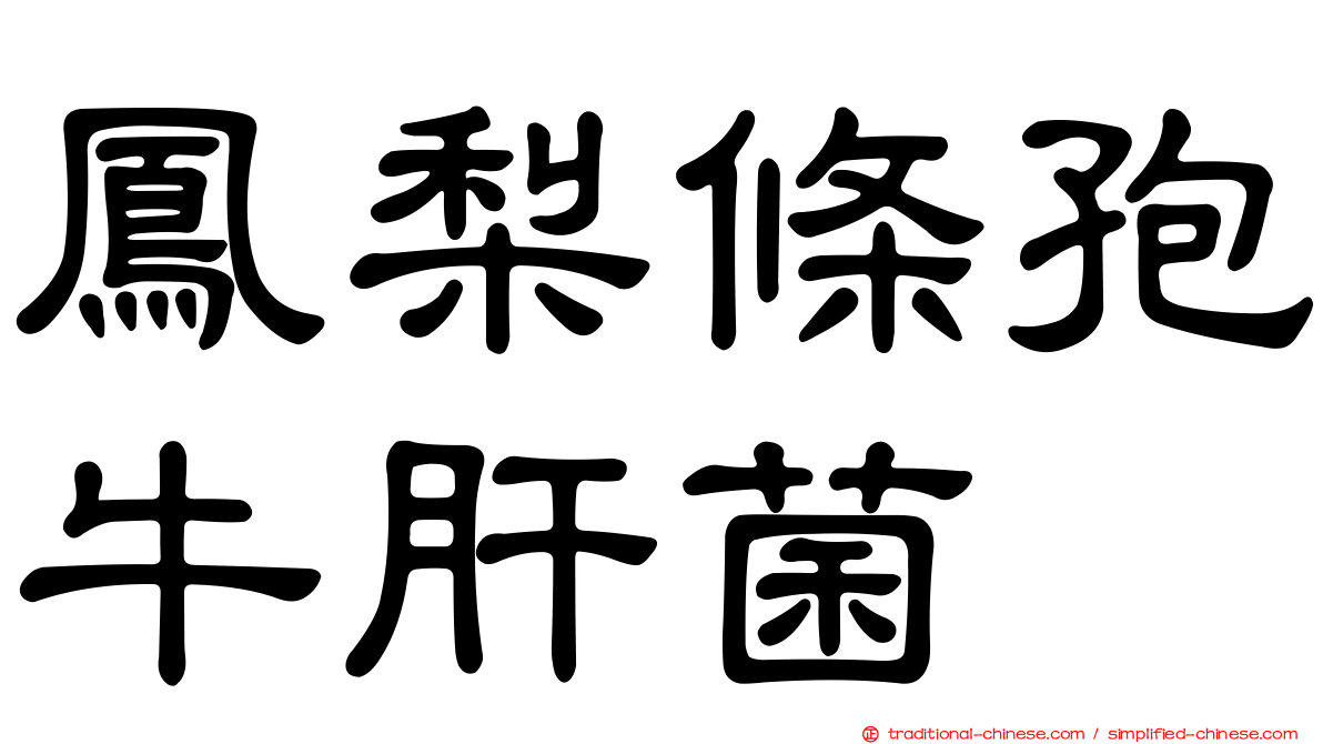 鳳梨條孢牛肝菌