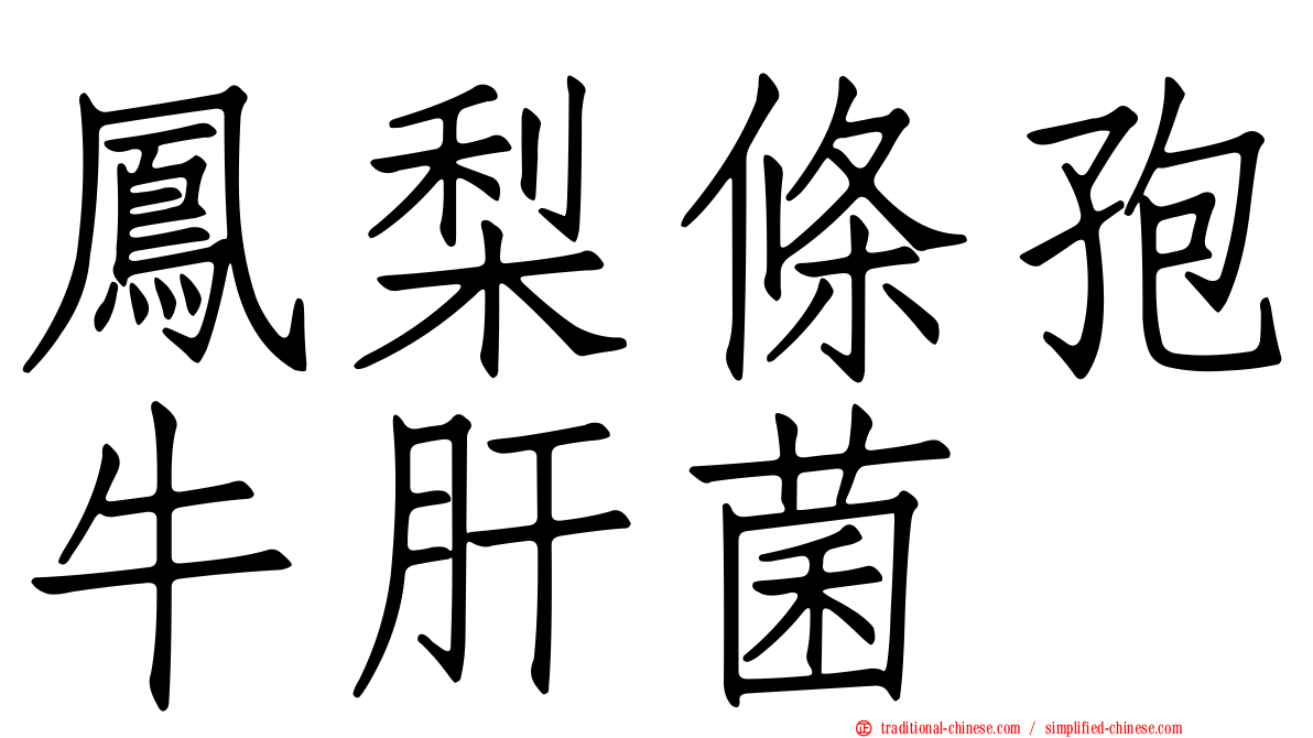 鳳梨條孢牛肝菌