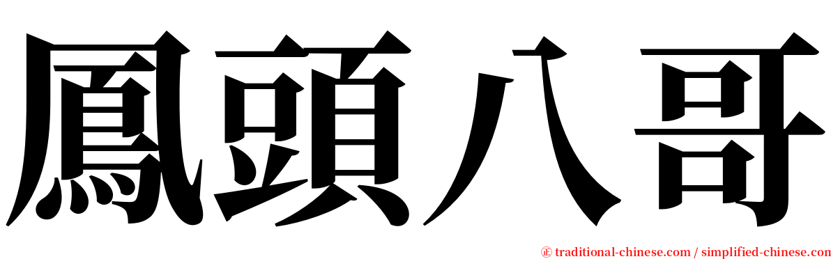 鳳頭八哥 serif font
