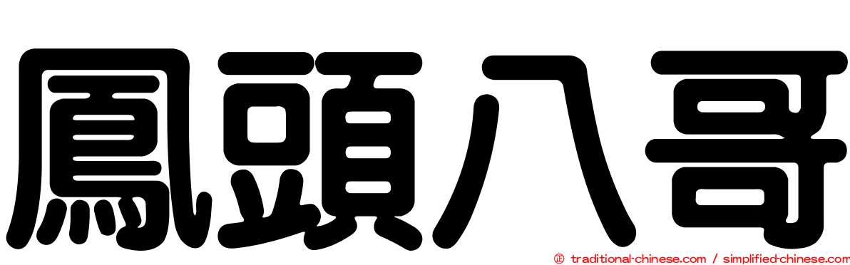 鳳頭八哥