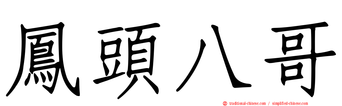 鳳頭八哥